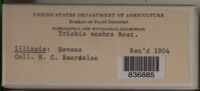 Image Associated With the Occurence